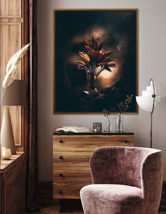 Let the light find you