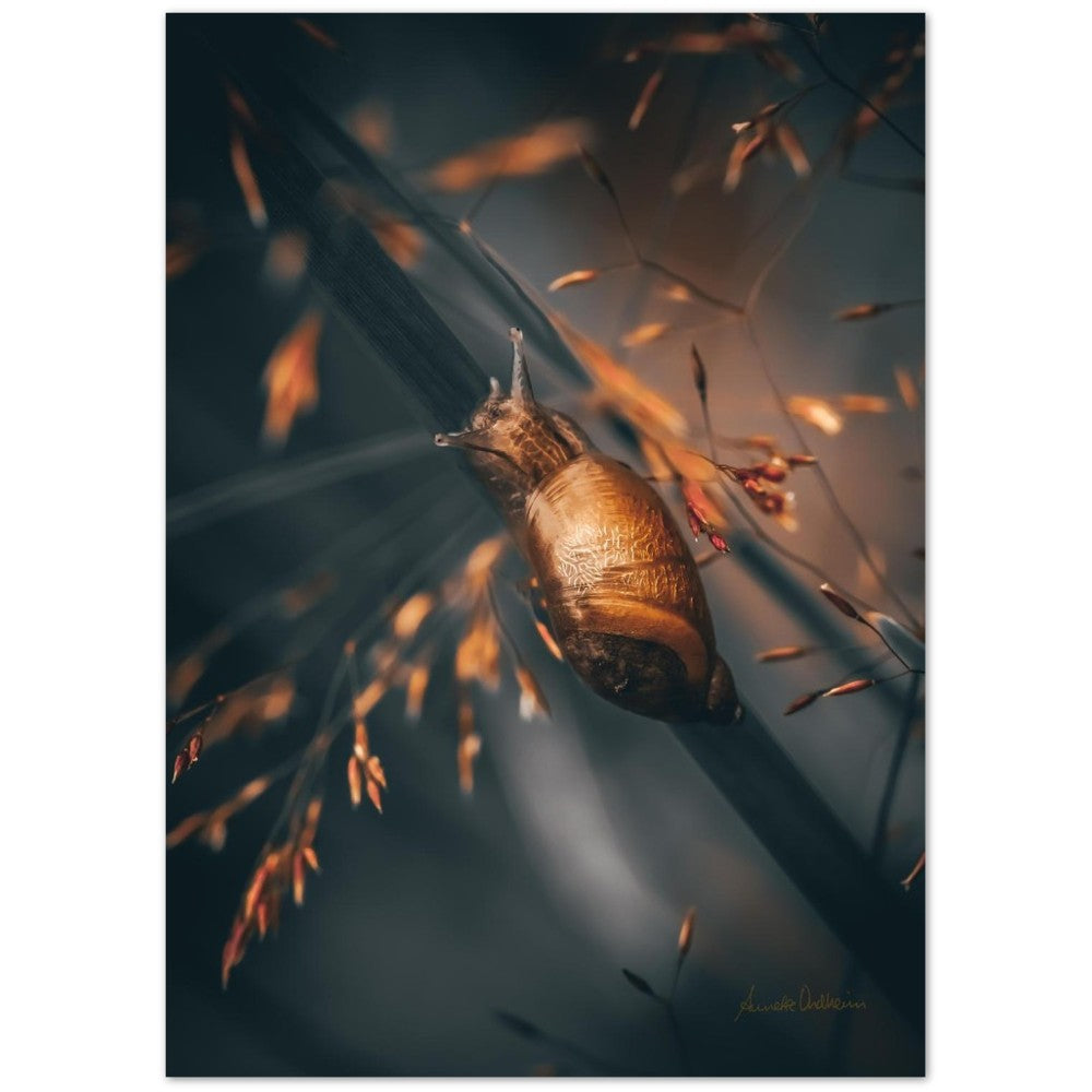 Golden snail