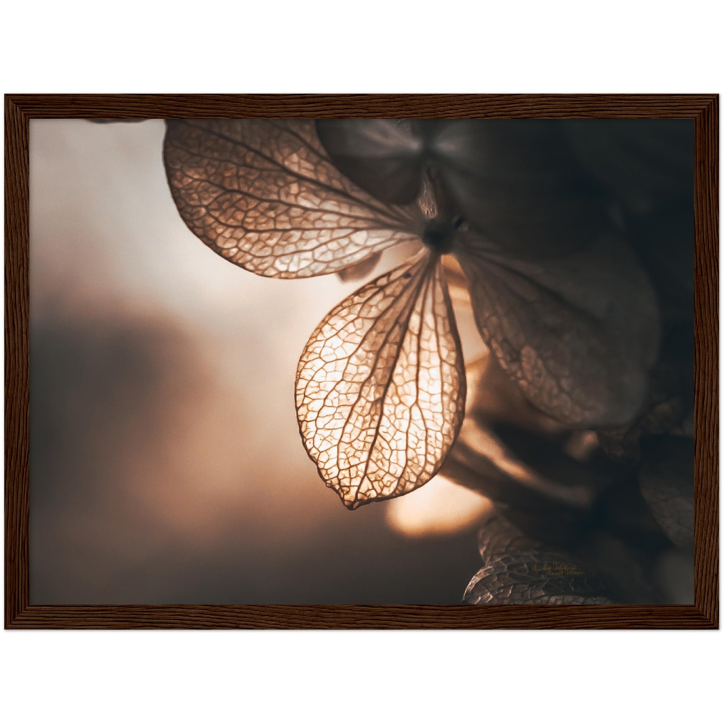 Golden leaf - liggende format