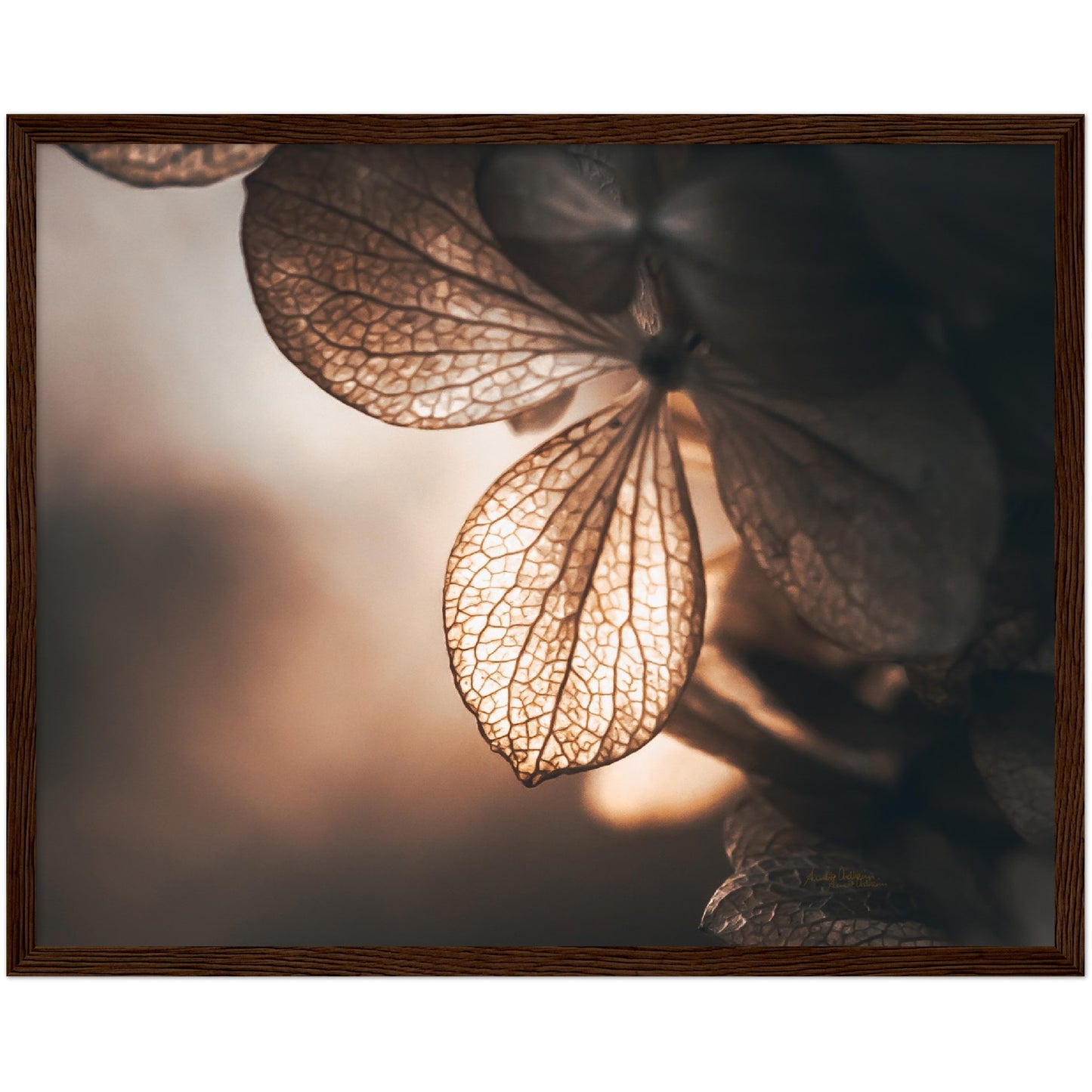 Golden leaf - liggende format