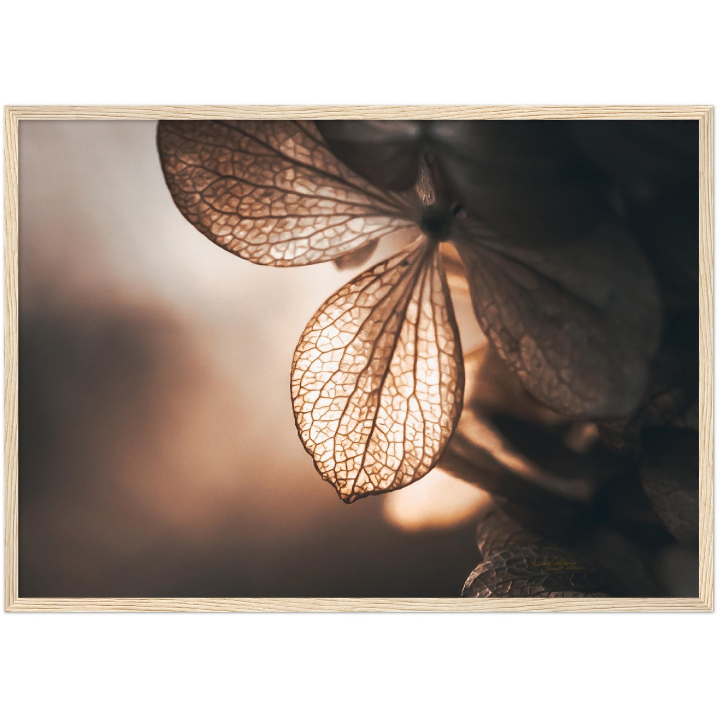 Golden leaf - liggende format