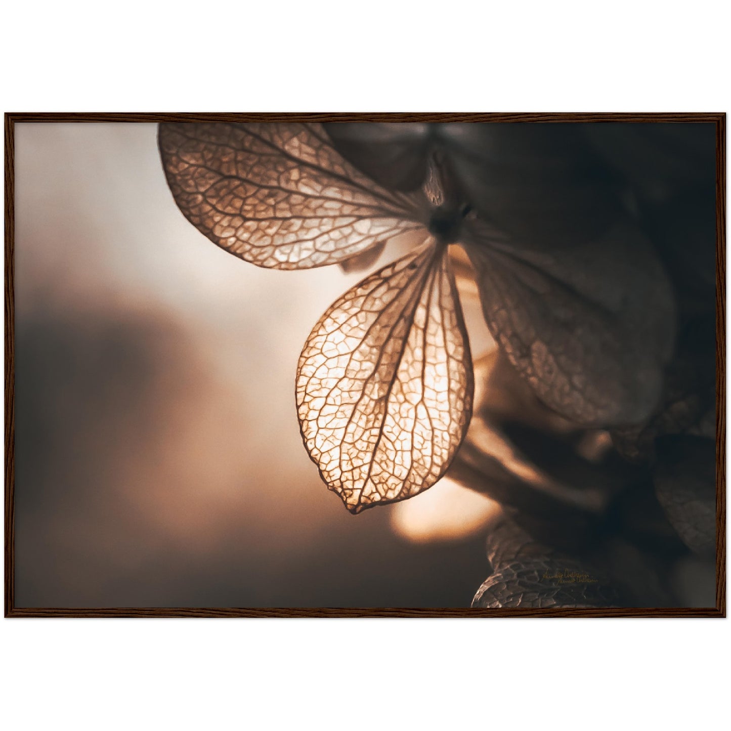 Golden leaf - liggende format